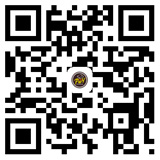 成都ky体育中国官方网站哪家好